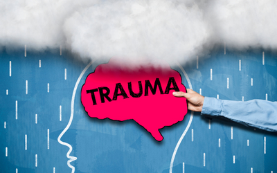 Trauma Informed Public Health Organizations